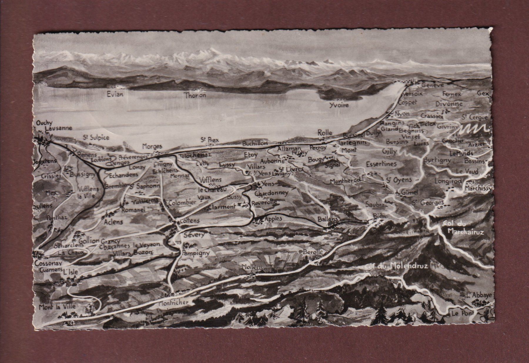 Cartes postales: LAUSANNE et le bout du lac - 1949 – D'occasion à Pully par nicecards