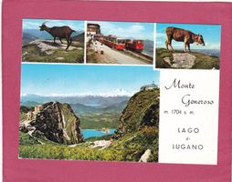 Monte Generoso Ziege Bahn Kuh