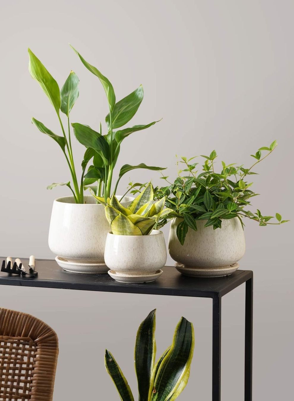 Vasi per fiori: Keramik Blumentöpfe 3er Set mit Untersetzer Beige – Nuovo e nell'imballaggio originale da Zürich venduto da jasminleut 8