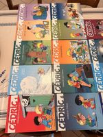 Lot 22 Bandes Dessinées Cédric, Collection Complète, Bon éta