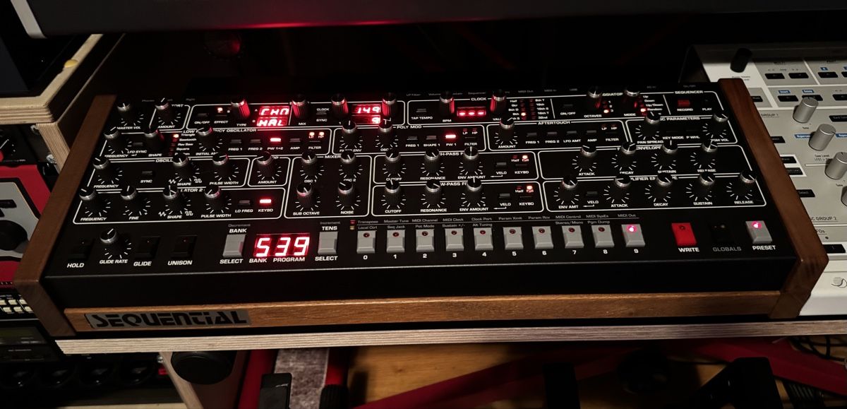 Sequential Strumenti musicali: Sequential Prophet 6 Desktop Synthesizer – Usato da Zürich venduto da 1cut2 4