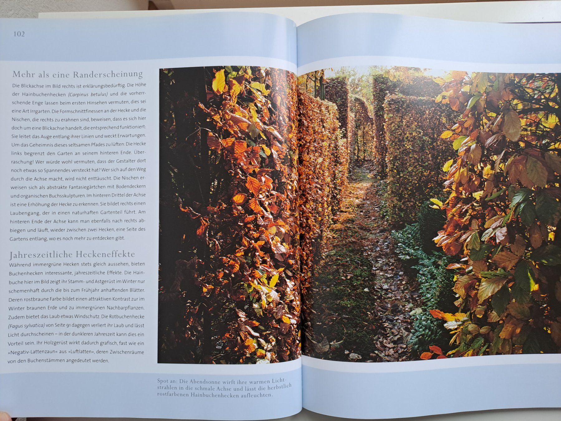 Libri: Bildband 'GartenBlicke' von Ursel Borstell – Usato da Volketswil venduto da ronbons 4