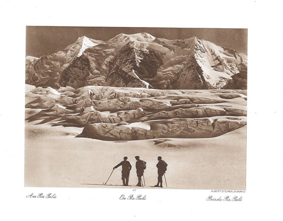 Vintage Albert Steiner, Piz Palü / Diavolezza, O. Rutz | Kaufen auf Ricardo
