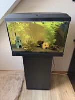 Aquarium JUWEL Primo 70 LED + meuble