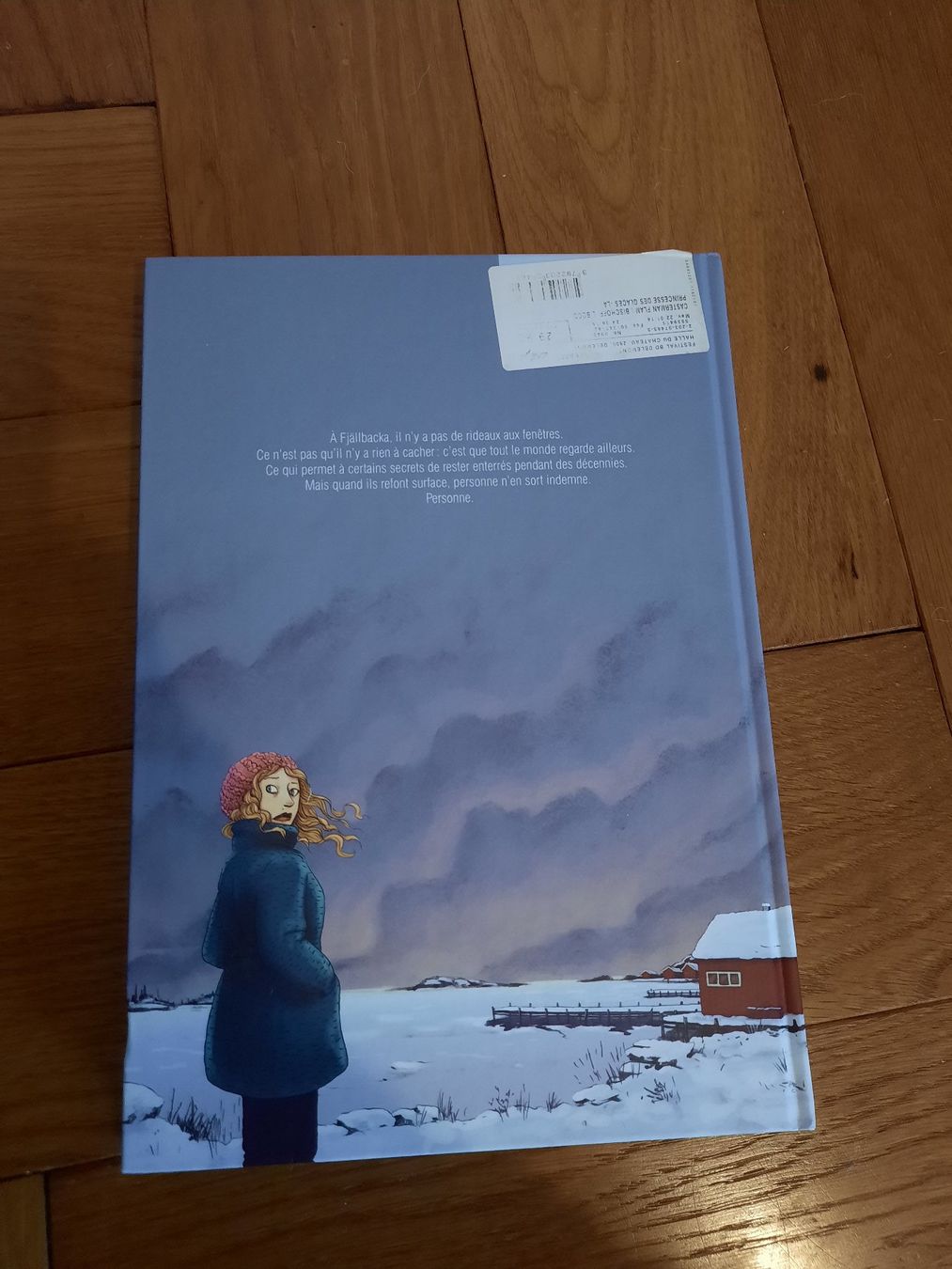 Fumetti: BD "Le Prédicateur" & "La Princesse Des Glaces" – Usato da Basel venduto da gillussiuss 1