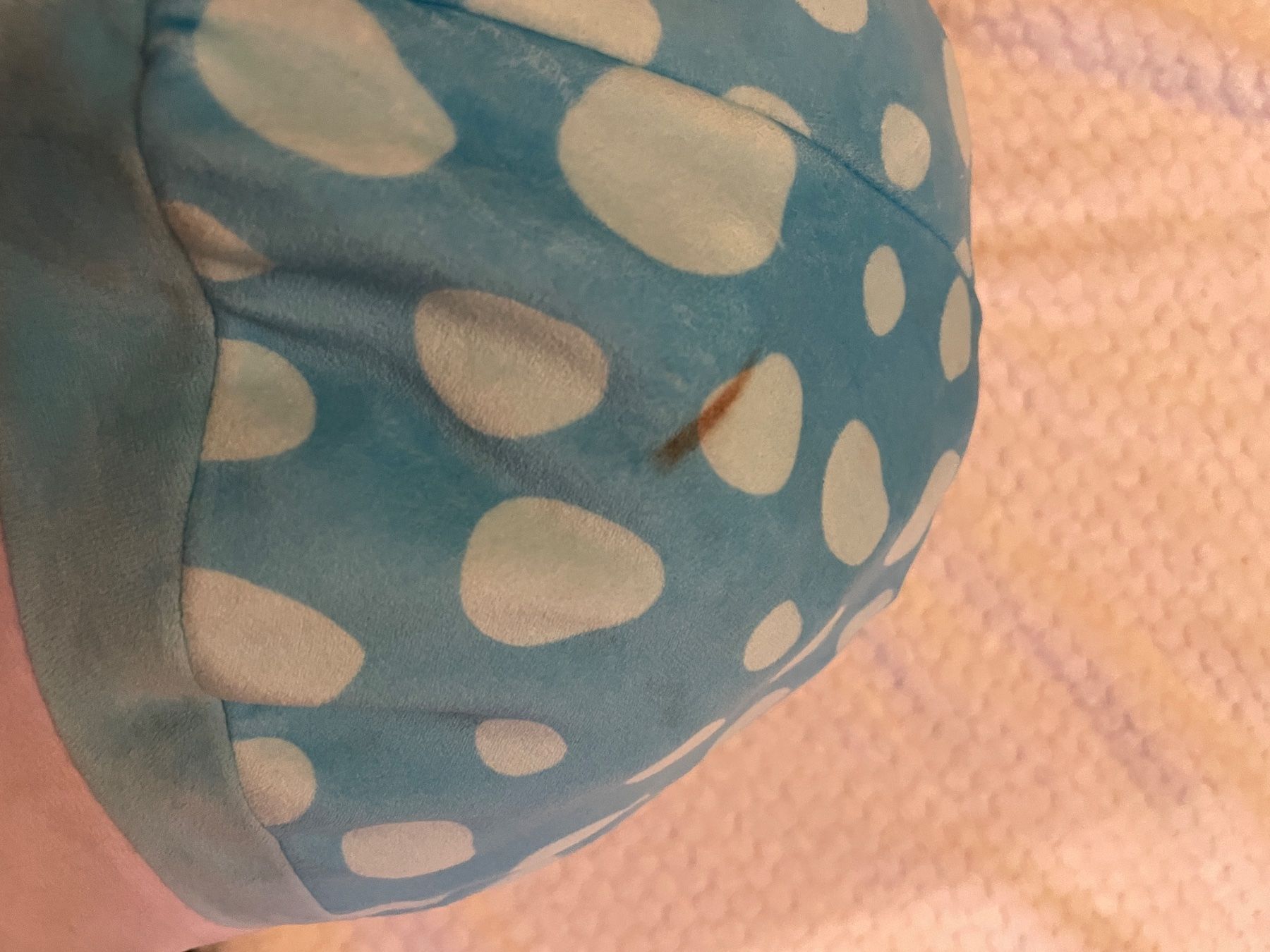 Squishmallows Giocattoli: Squishmallow Pilz – Usato da Bern venduto da Djakite 3
