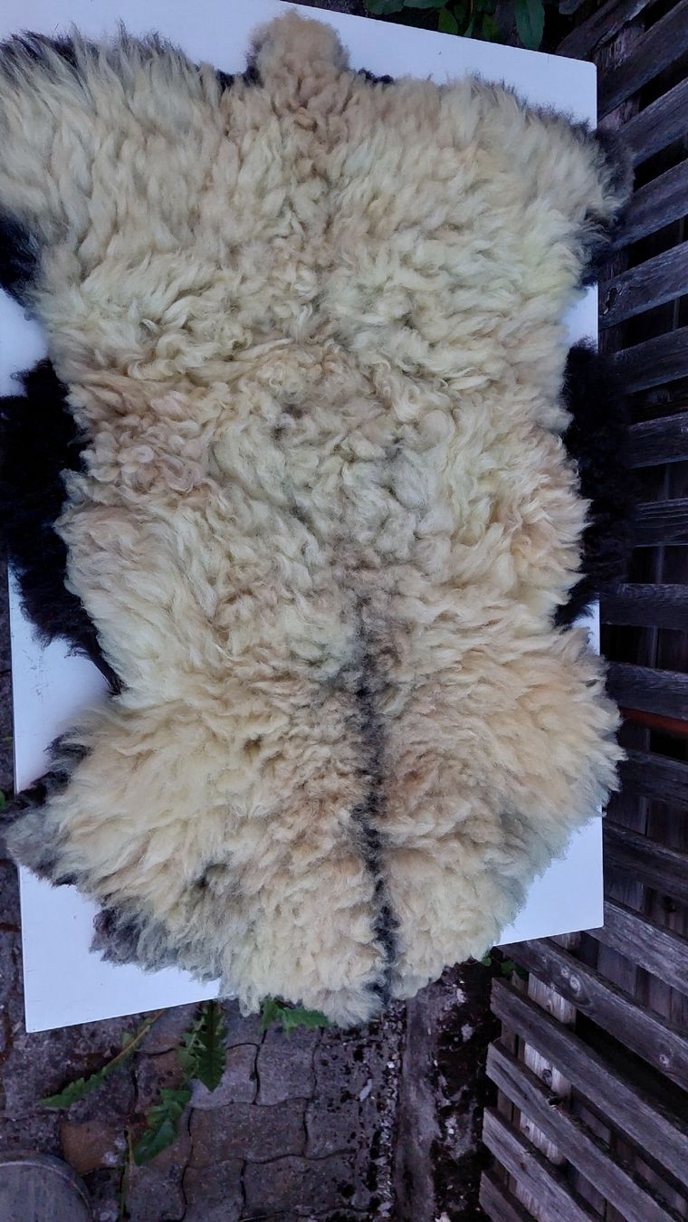 Coperte: Lammfell Bündner Oberland Schaf CH  – Nuovo (secondo la descrizione) da Berschis venduto da ron_z68v