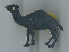 Kamel Pin
