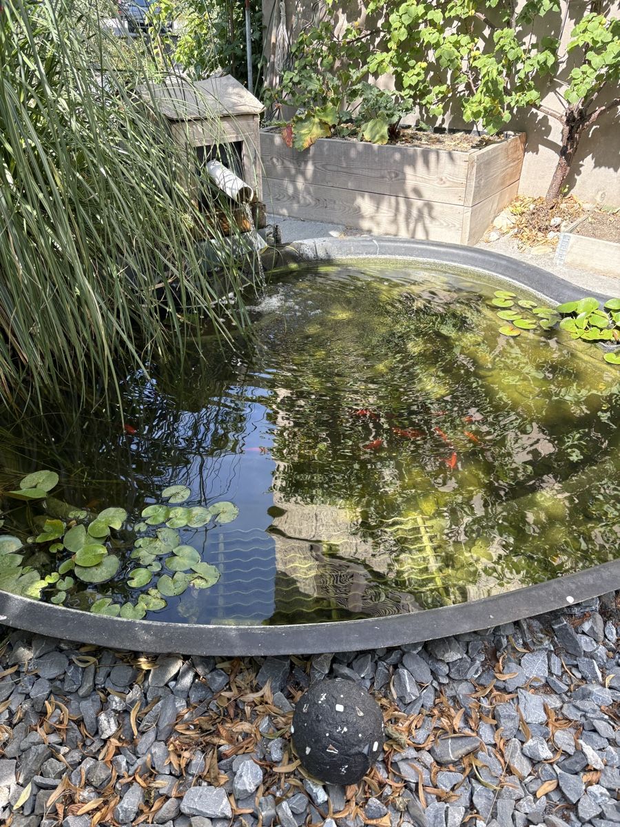 Etangs & Fontaines déco.: Biotop  – D'occasion à Rheineck par Boline
