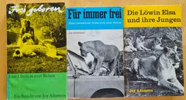 Frei geboren / Die Löwin Elsa + ihre Junge / Für immer frei