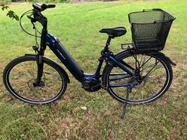 VelodeVille E-Bike Bosch Performance Line, RH50 Top-Zustand