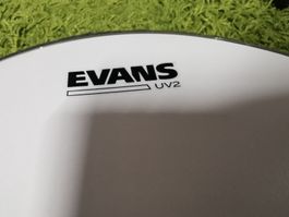 Evans 13" UV2