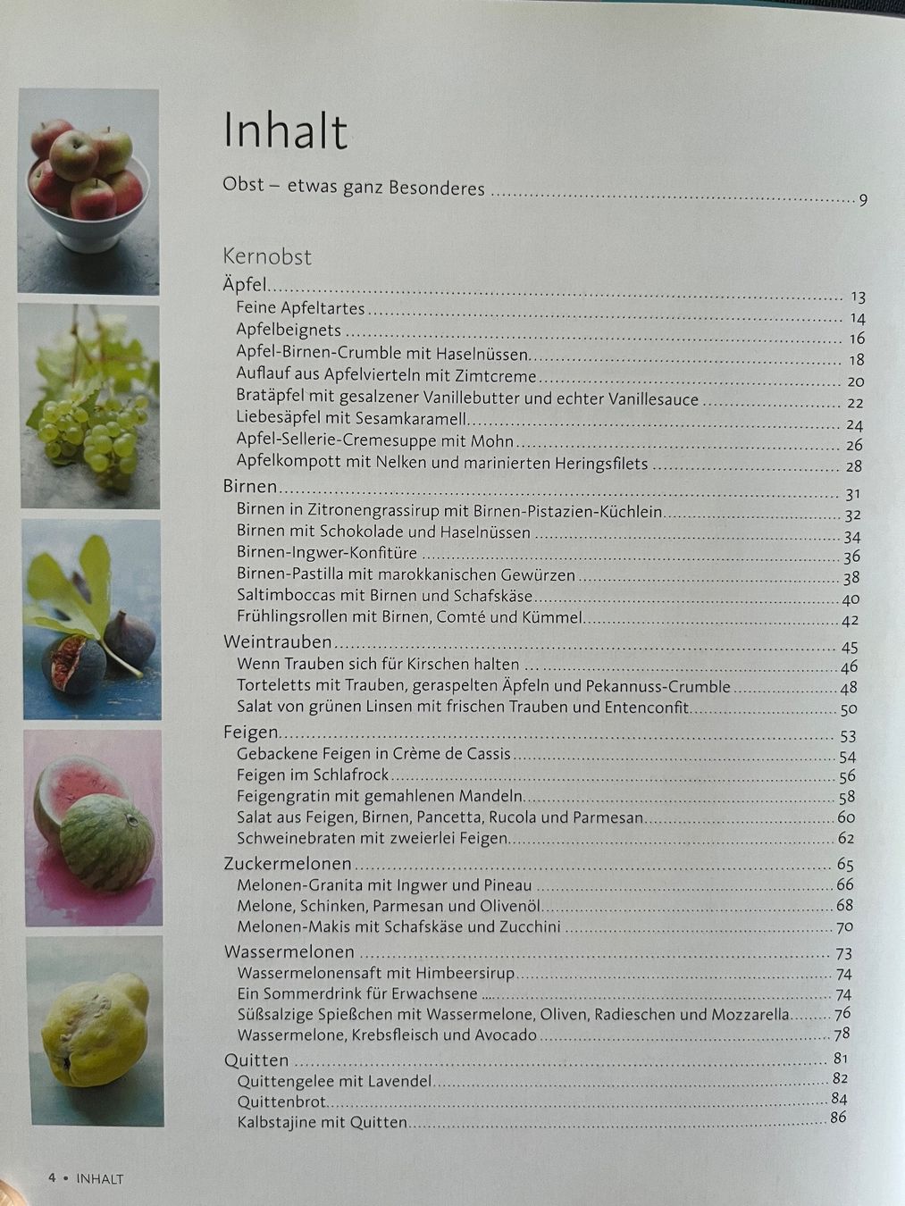 Bücher: Kochbuch Rezepte aus dem Obstgarten – Neu (gemäss Beschreibung) aus Baden von Highlight1 2