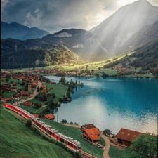 Profile image of Swiss2011