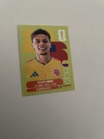 FIFA WM 2026 Richard Rios COL 12