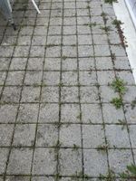 Betonplatten 20cm x 20cm - ideal für den Garten!
