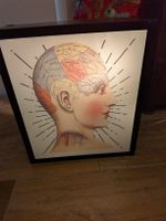 lampe tête  Phrenologique