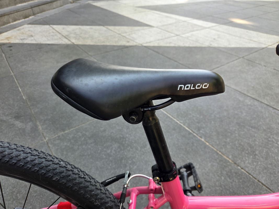 Naloo Velos: NALOO Kindervelo | Chameleon 24" – Gebraucht aus Luzern von Restwert_Luzern 4