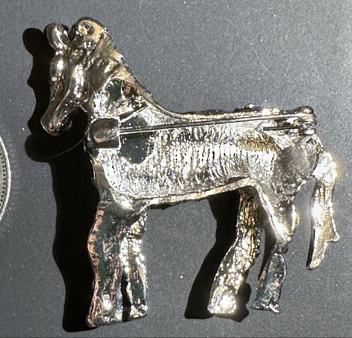 Spille & Fermagli: Brosche Zebra mit Strasssteinen – Nuovo (secondo la descrizione) da Trüllikon venduto da angela4444 7