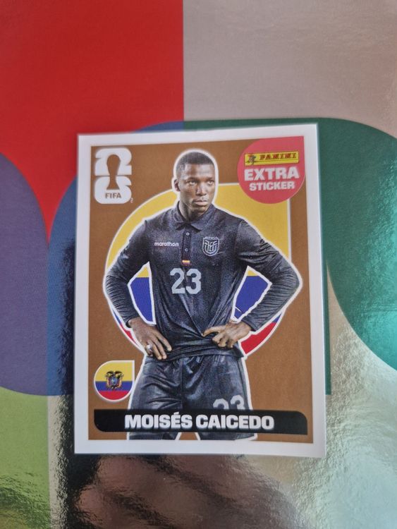 Panini extra Sticker GOLD Moisés Caicedo (Neu und originalverpackt) in ...