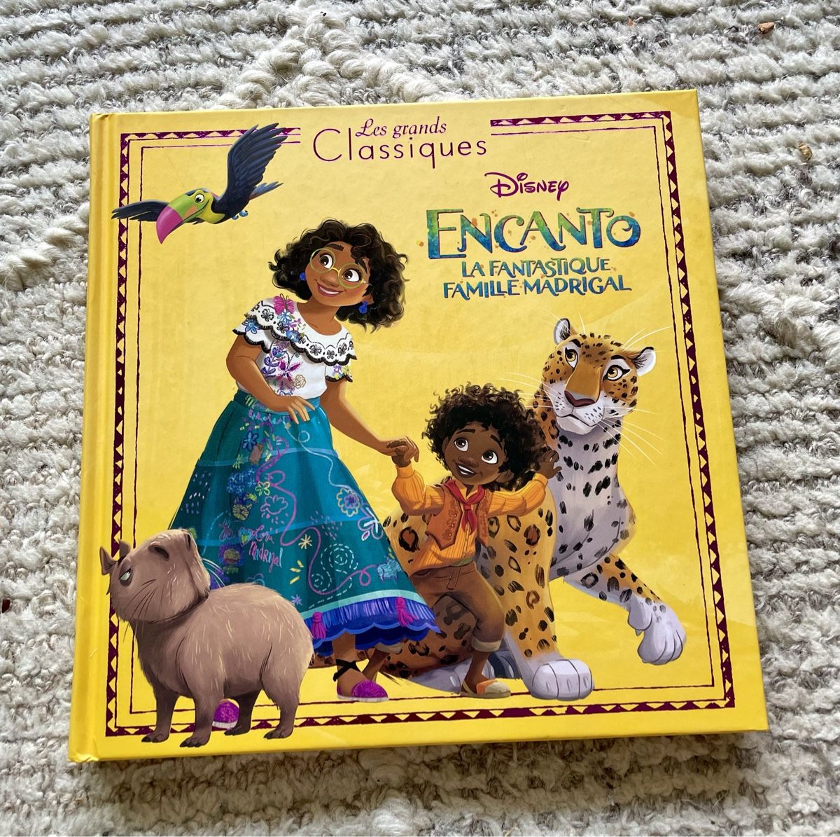 Libri: Livre Encanto – Usato da Gilly venduto da otiik