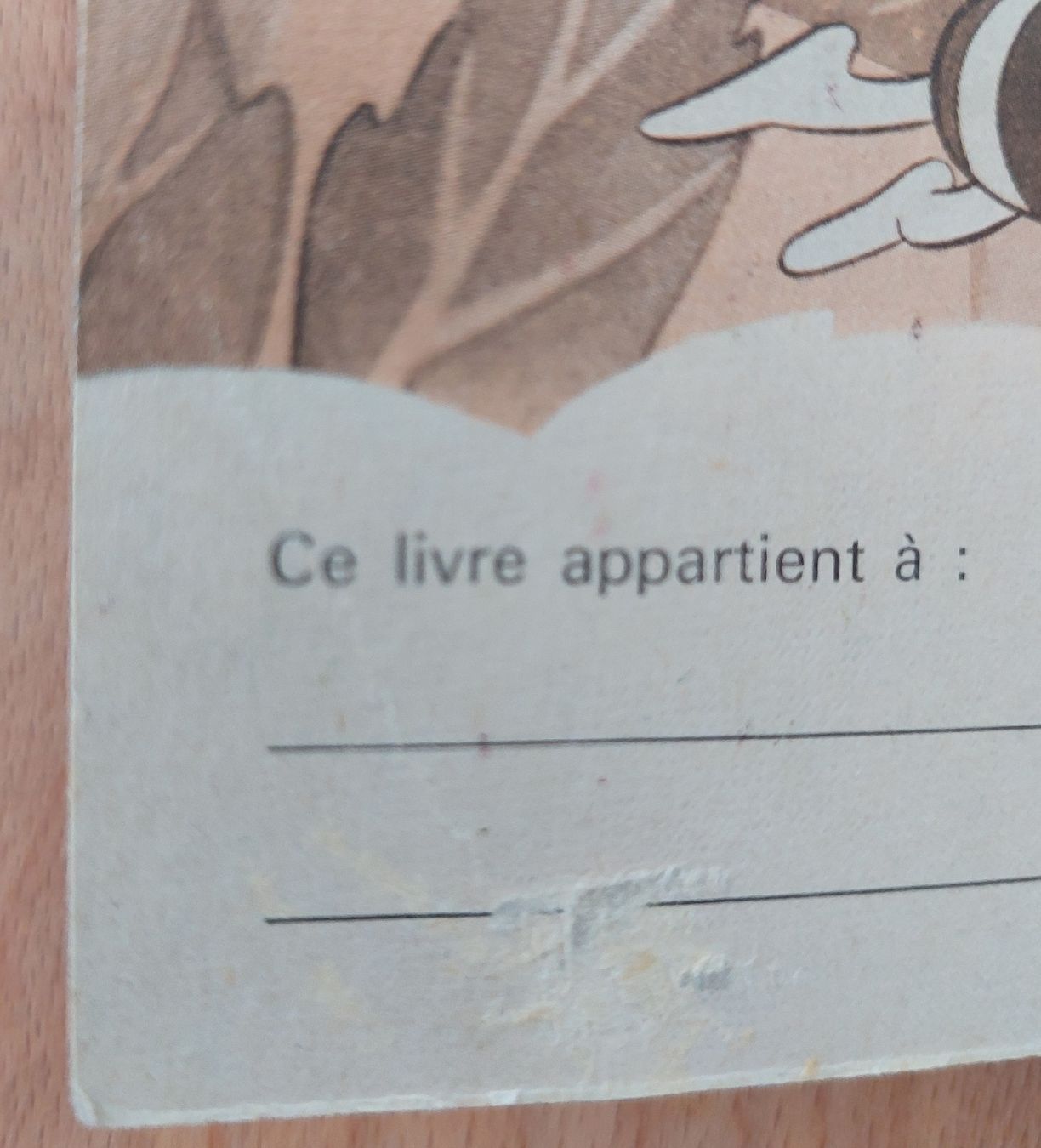 Bücher: Maya l'abeille mini livres 1979 – Gebraucht aus Yverdon-les-Bains von pri_x6j6 5