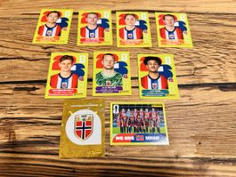 Panini WM 2026 Norwegen Sticker Set 9 Stk. NEU