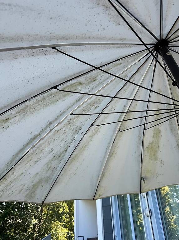 Sonnenschirme: Kurbel Sonnemschirm, beige, 2m Durchmesser – Gebraucht aus Zürich von Csonne 1