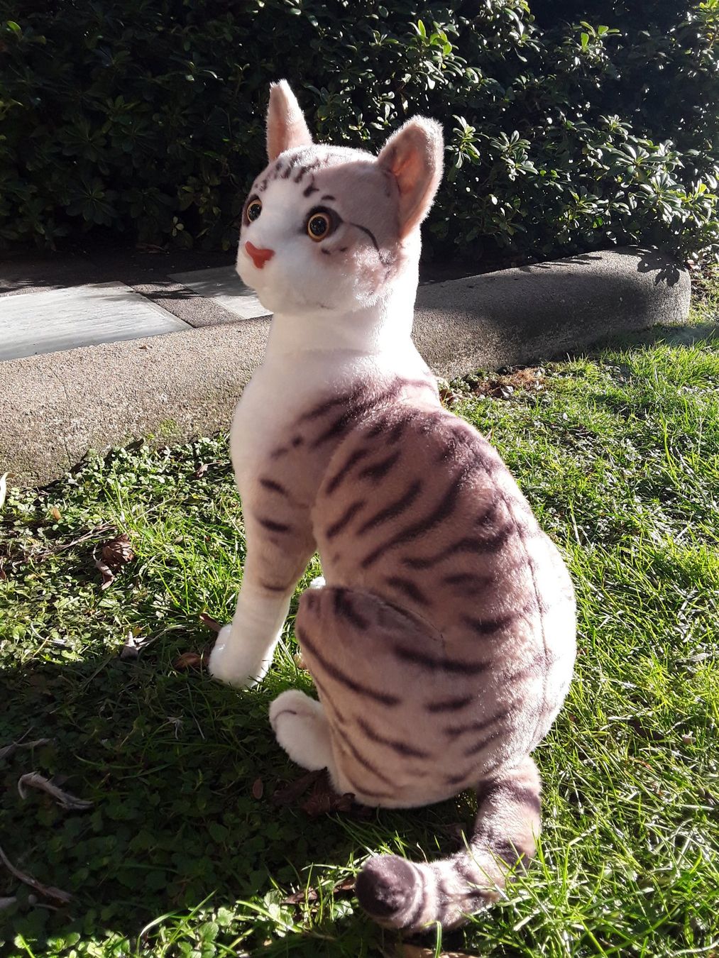 Giocattoli: Haus-Katze – Nuovo (secondo la descrizione) da Castagnola venduto da Cat-WomenX 1