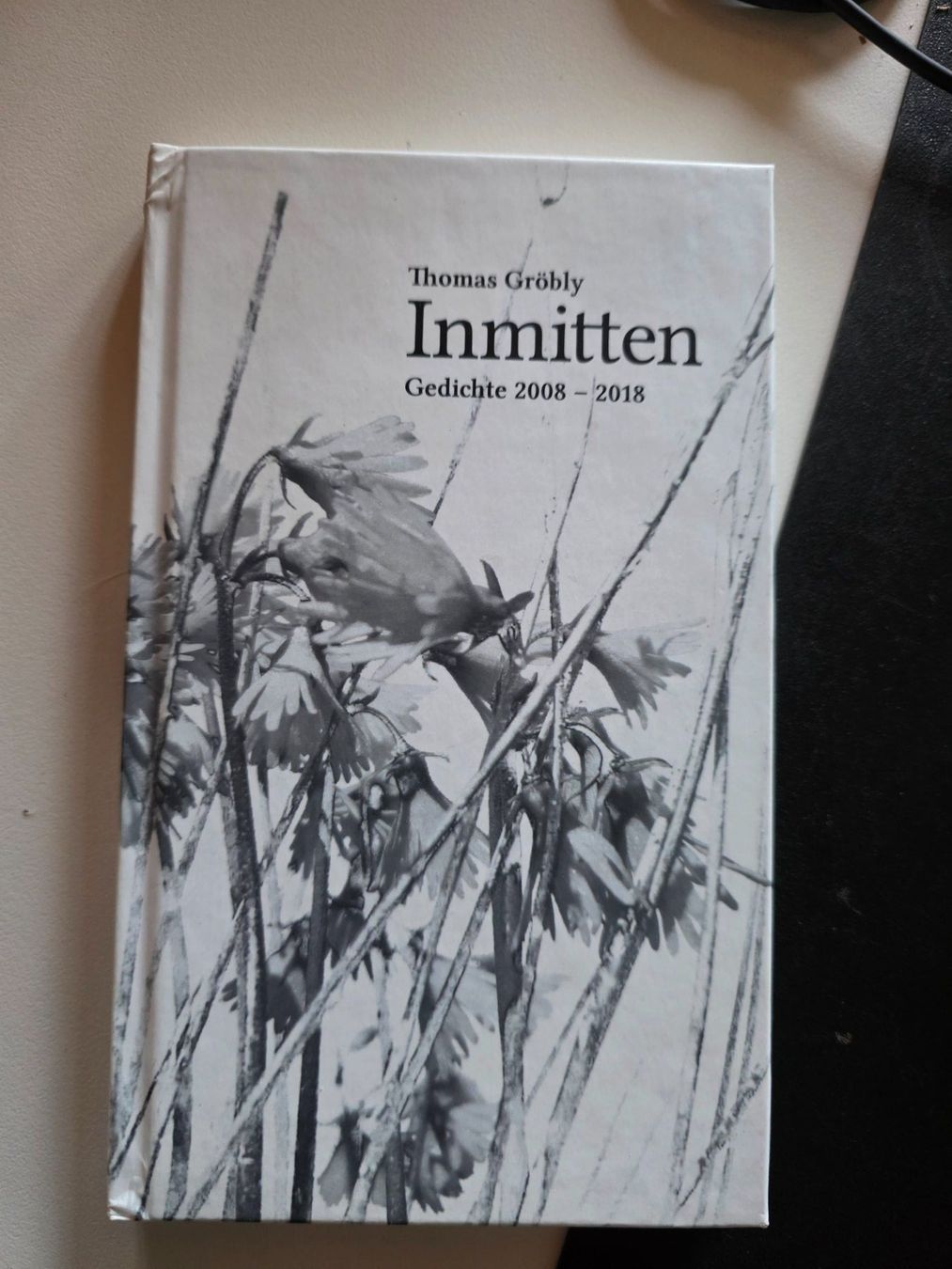 Libri: Thomas Gröbly - Inmitten - Gedichte 2008-2018 – Usato da Walterswil BE venduto da Lonitti