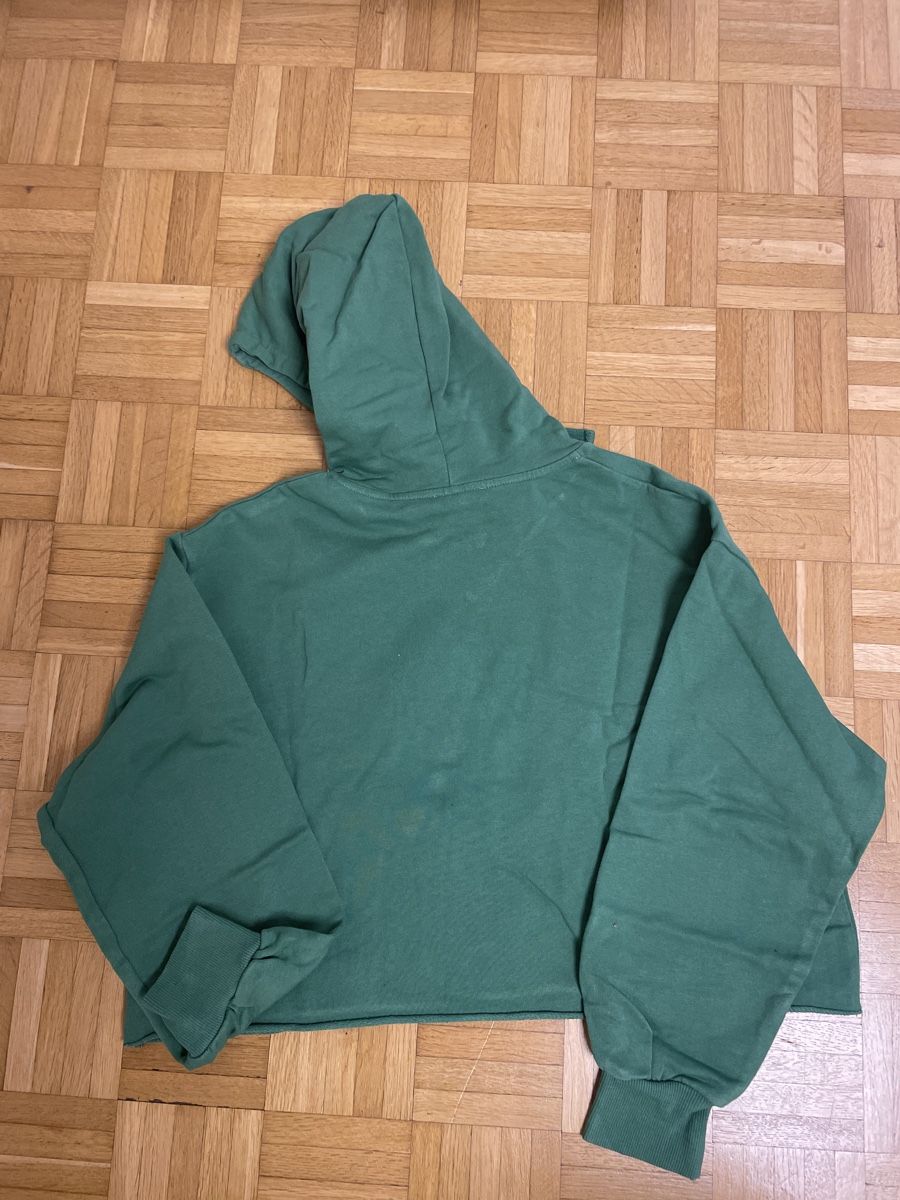 Zara Pullover & Sweatshirts: ZARA felpa – Neu (gemäss Beschreibung) aus Losone von Chanty1970 1