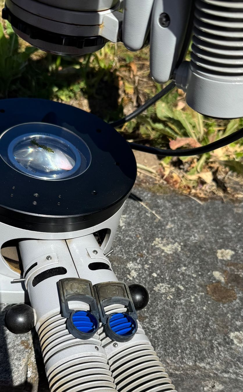 Microscopi: ZEISS Stereo Mikroskop – Usato da Rumendingen venduto da Tschangie 3