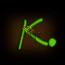 Profile image of Krm4901