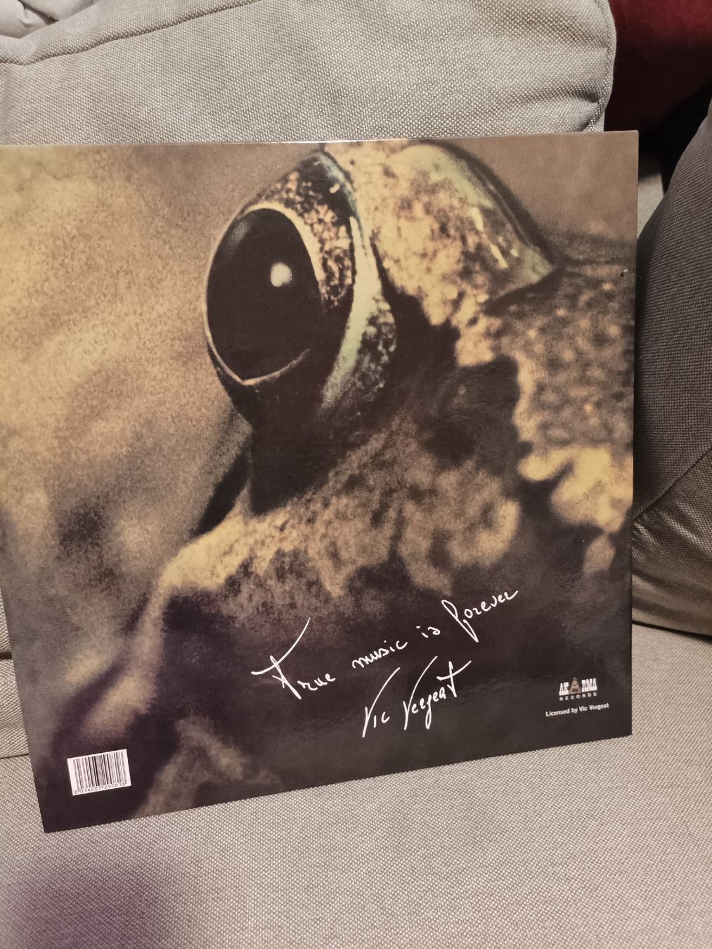Vinyles: Toad Vinyl – Neuf (Voir description) à Bern par rabbit01 1