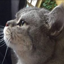 Profile image of sar_lw82