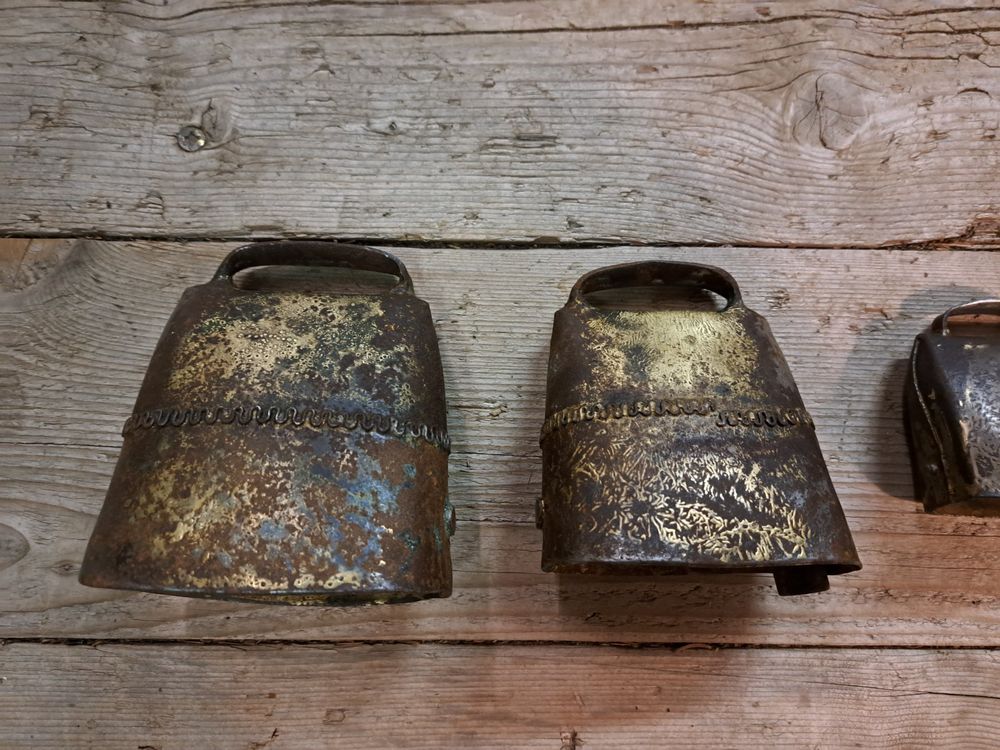 alte-tiroler-flachschellen-schaf-glocken-5stk-zusammen-kaufen-auf-ricardo