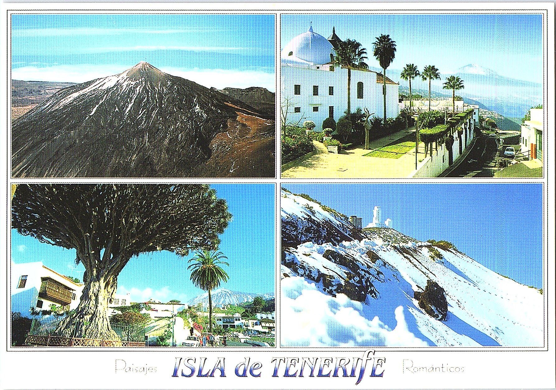 Ansichtskarten: AK Isla de Tenerife 7 Ansichtskarten neu – Neu (gemäss Beschreibung) aus Würenlos von KKMeister 2