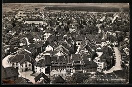 Lenzburg, Totalansicht aus der Vogelscha