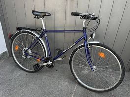 Bicicletta uomo città Delta 28 