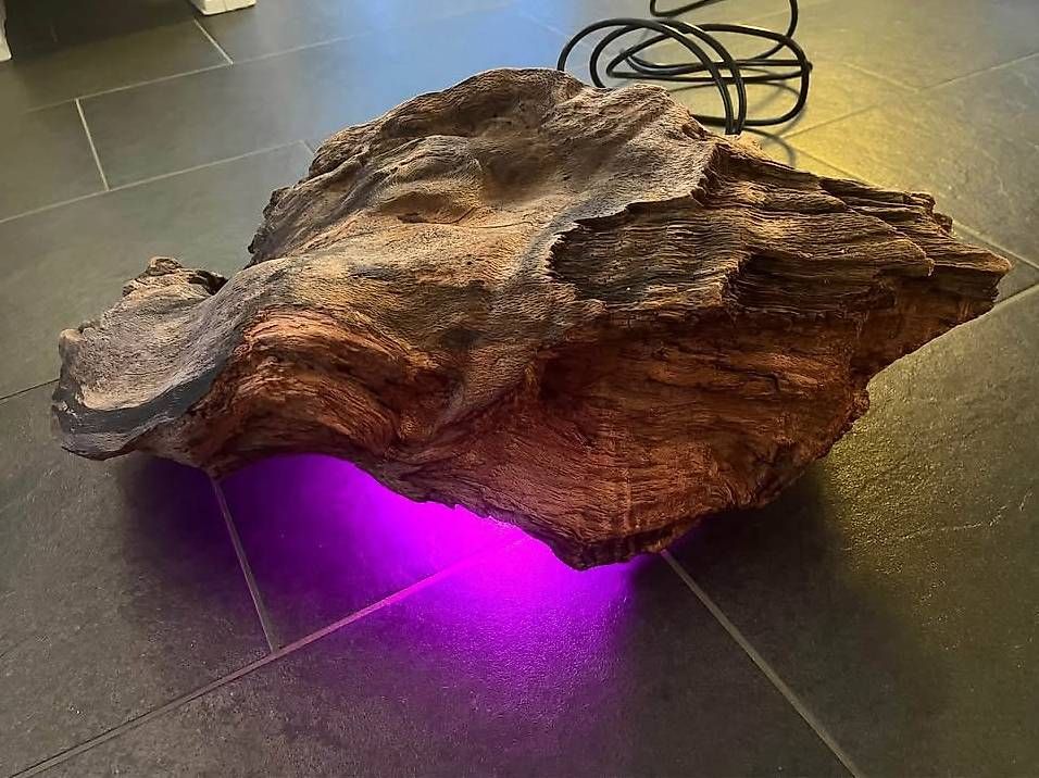 Lampen: Philips Hue Schwemmholzlampe – Gebraucht aus Faulensee von Neubi71 2