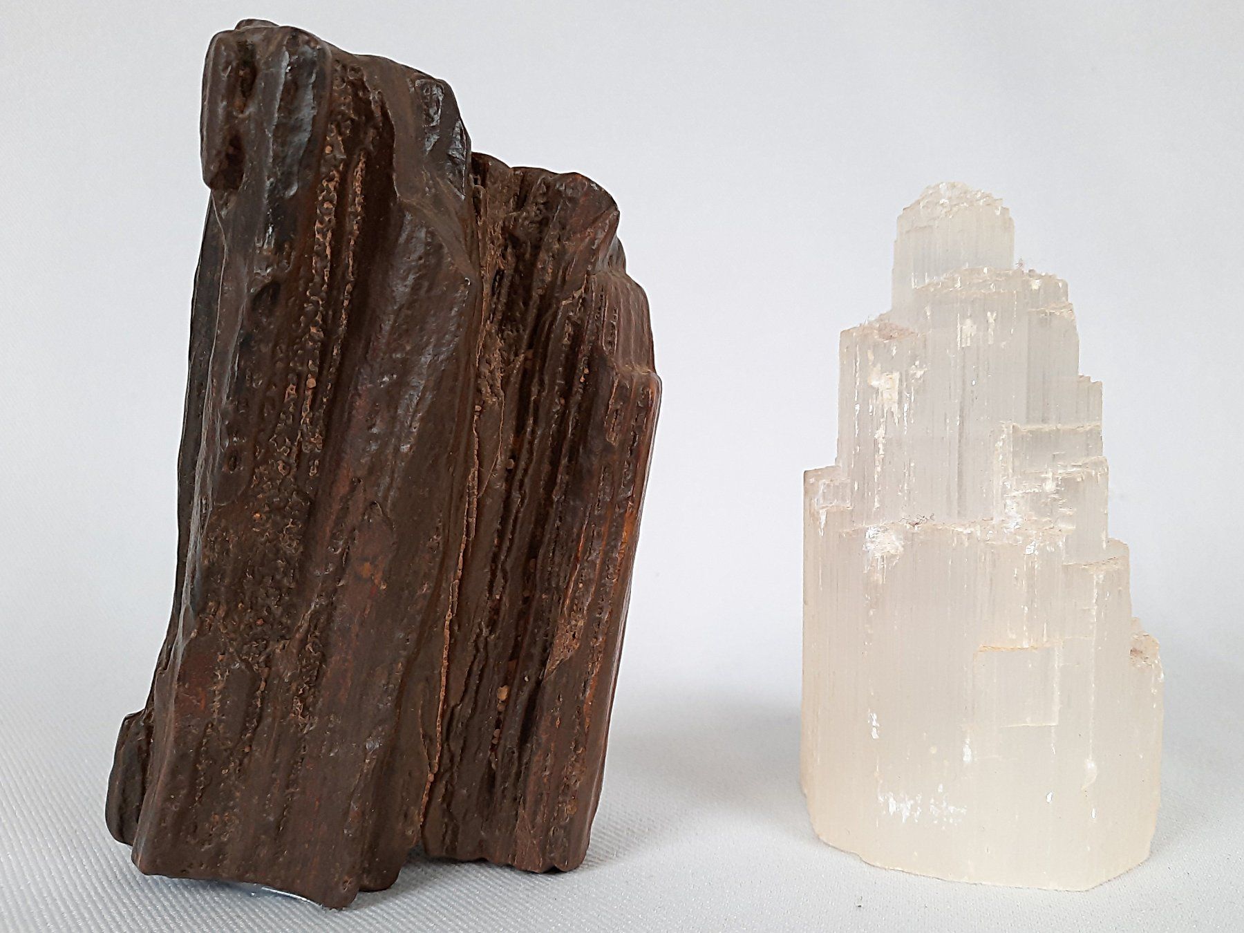 Minerali & Pietre curative: Fossiles Holz und Selenit-Turm – Usato da Beinwil am See venduto da Restwert_Beinwil