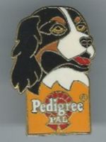 Hunde PIN
