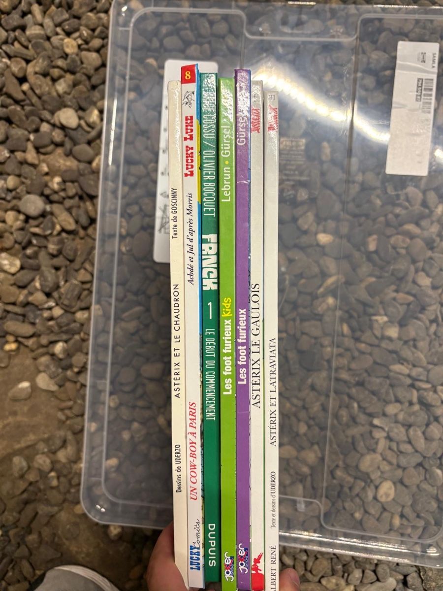 Fumetti: Ensemble de différents bd  – Usato da Vaulruz venduto da emi_zgp8 1