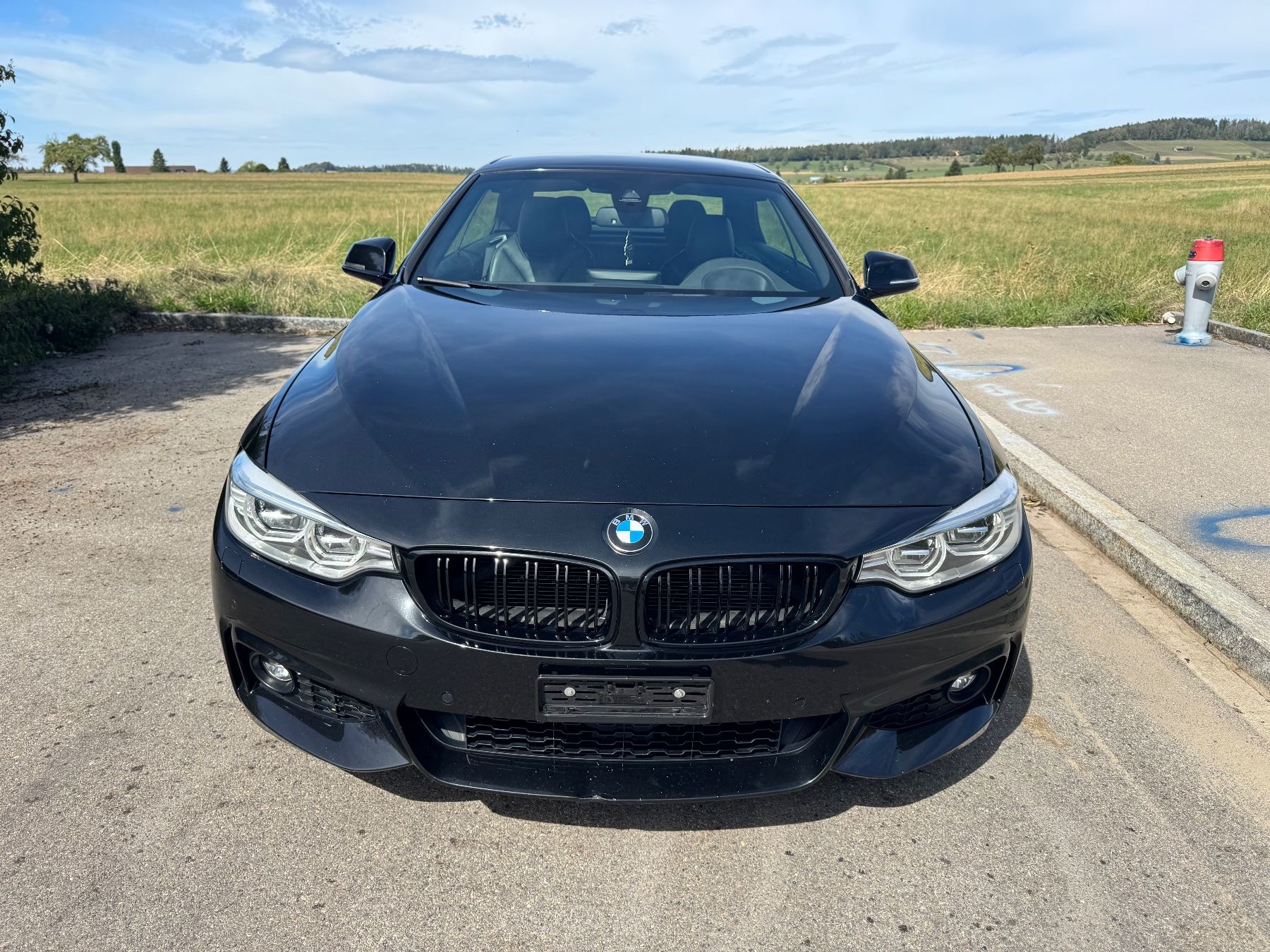 BMW Automobili: BMW 428i – Usato da Winterthur venduto da mul_lq8q 1