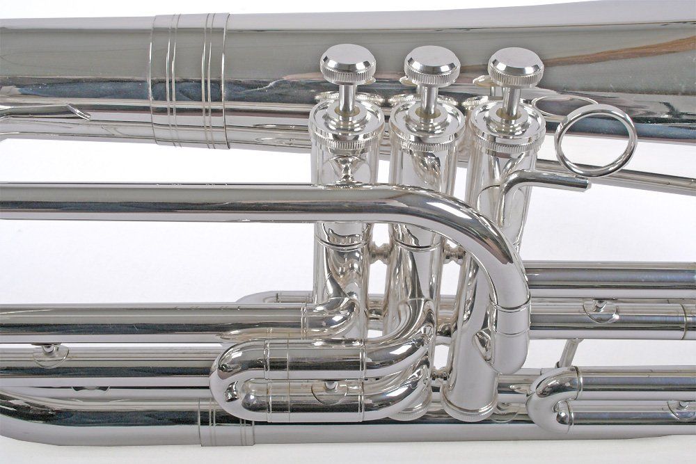 Karl Glaser Strumenti musicali: Marching Bariton, versilbert, Edelstahl Ventile, Koffer – Nuovo e nell'imballaggio originale da Lostallo venduto da Guddah78 3