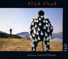 Pink Floyd – Delicate Sound Of Thunder - b
