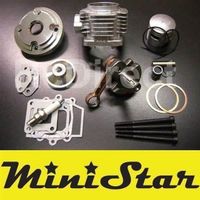 TUNING VII ZYLINDER RENNSATZ Minibike