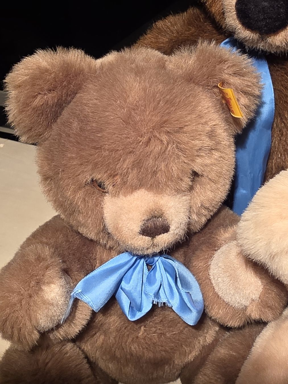 Steiff Giocattoli: 7 Steiff Bären Brüder suchen Zuhause  – Usato da Dintikon venduto da Dako1204 1