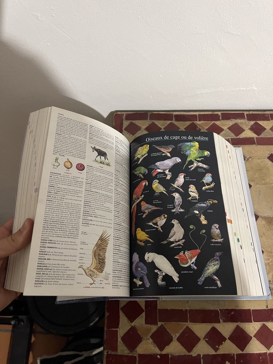 Libri: Dictionnaire Larousse illustré – Usato da Fribourg venduto da Barlocher 5