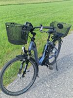 E-Bike Flyer 36V mit 2 Körben, perfekt für den Sommer